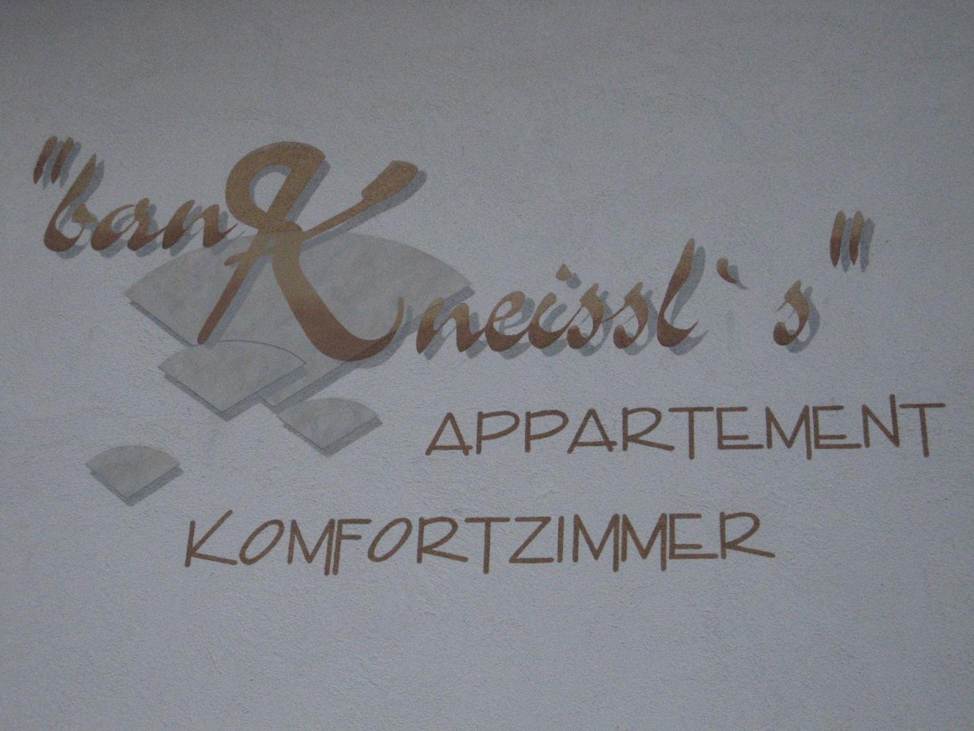 Ban Kneissl'S Apartment Umhausen Exterior photo